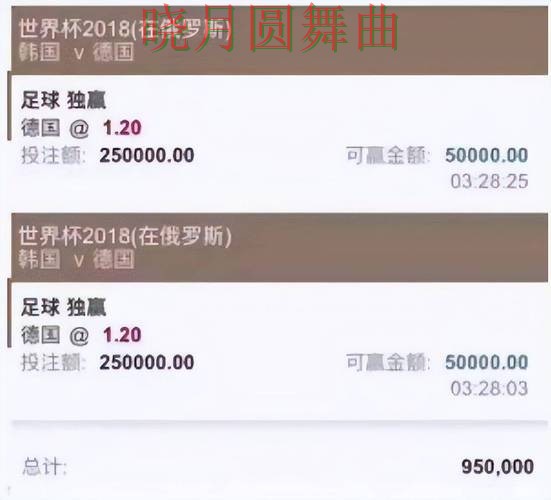 世界杯投注平台活动页面怎么看更清楚